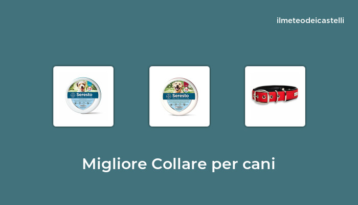 46 Migliore Collare Per Cani Nel 2022 Secondo 700 Utenti