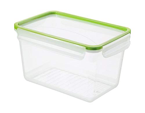 Rotho Clic & Lock Lattina di Cibo Fresco con Coperchio e Guarnizione, Plastica (PP) senza BPA, Trasparente Verde, 3 L, 23.9 x 16.0 x 13.6 cm