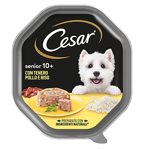 Cesar Senior 10+ Cibo per Cane con tenero Pollo e Riso, 150 g, 14 Vaschette