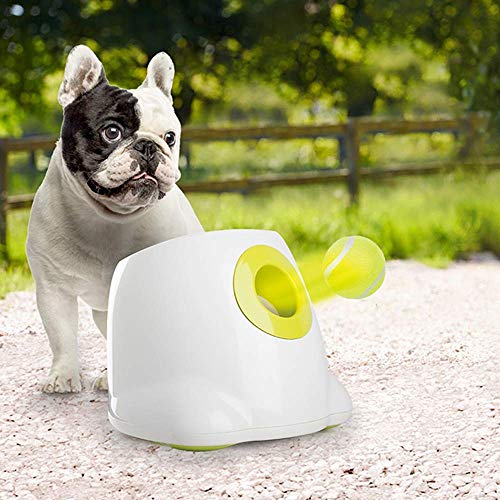 ALL FOR PAWS Lanciatore automatico interattivo per cani, lancio di palline da tennis, per cani di piccola e media taglia, 3 palline incluse, versione mini