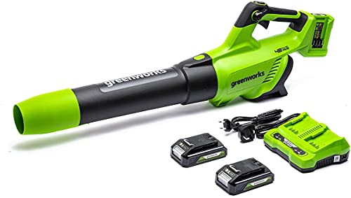 Greenworks 2 x 24 V (48 V) Soffiatore Cordless, Velocità dell aria 193 KM H, Volume dell aria 900 M³ H, Velocità Variabile (con 2 x 2 Ah Batterie e Caricatore)